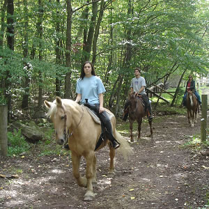 Summer Riding Scene