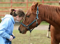 head to head - lady and horse